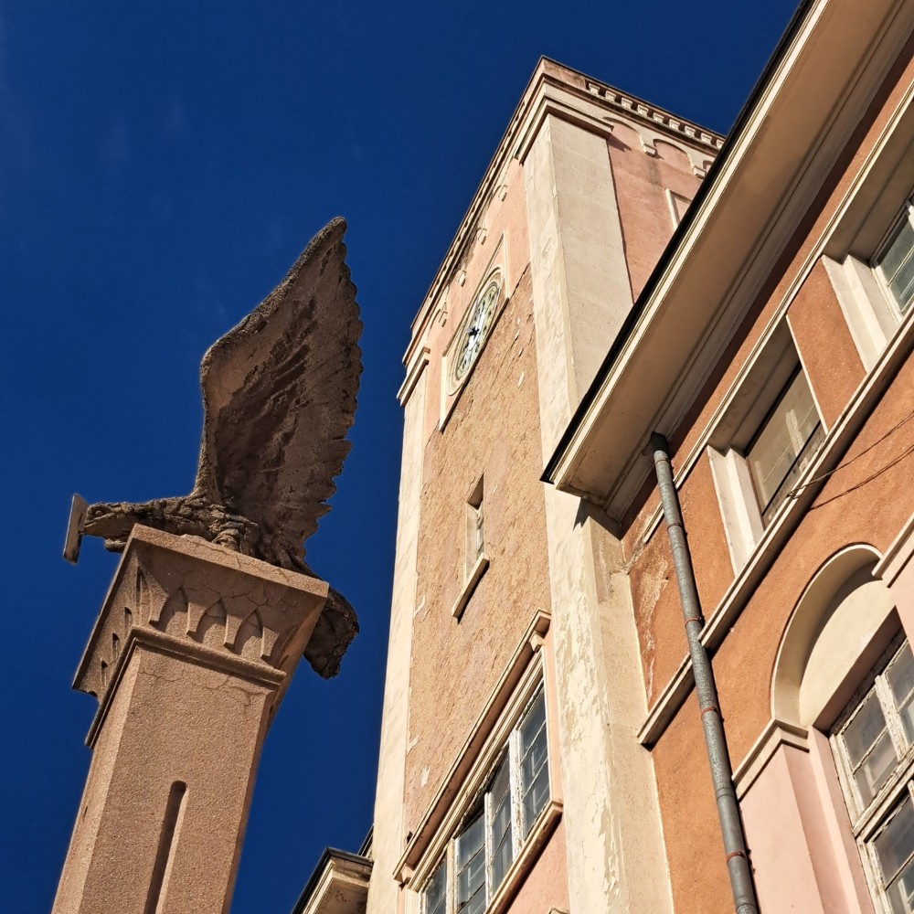 557138655_844722654893988_1124786164269883126_n (Custom)