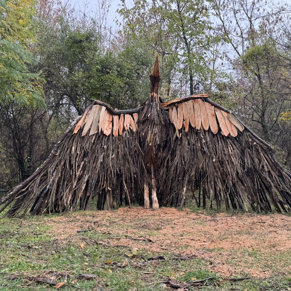 577208054_874088621957391_2192070343904910475_n (Custom)