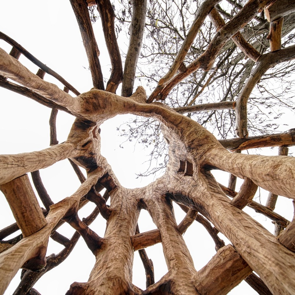 581203530_877530968279823_4336007393727942009_n (Custom)