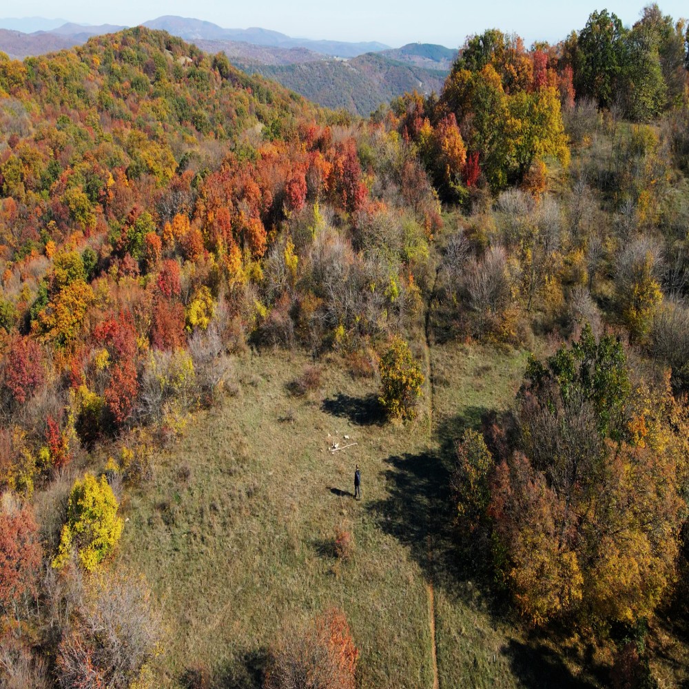 For photos.00_00_35_13.Still006 (Custom)