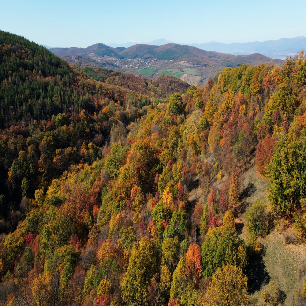 For photos.00_06_07_05.Still016 (Custom)