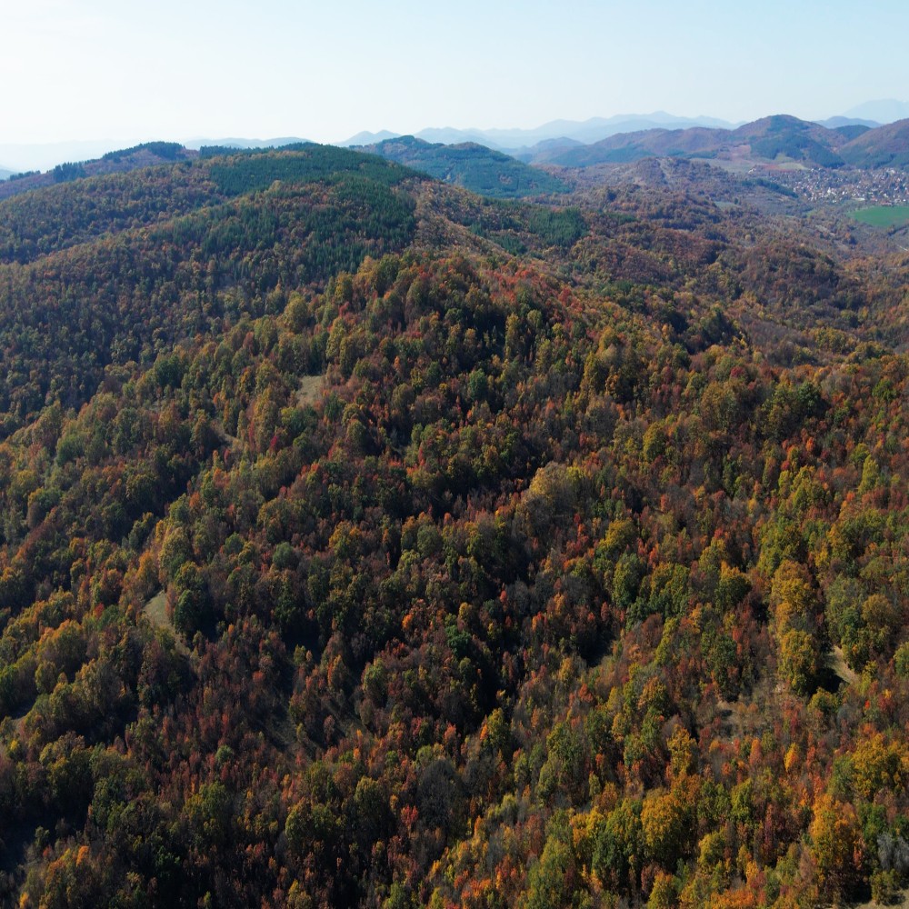 For photos.00_09_55_12.Still021 (Custom)